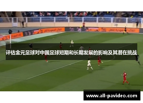 评估金元足球对中国足球短期和长期发展的影响及其潜在挑战