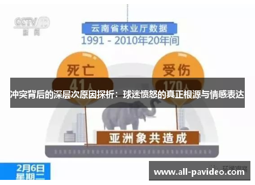 冲突背后的深层次原因探析：球迷愤怒的真正根源与情感表达