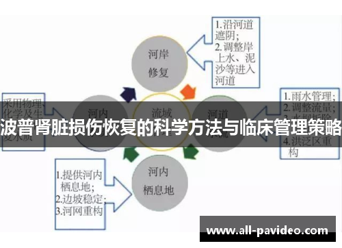 波普肾脏损伤恢复的科学方法与临床管理策略