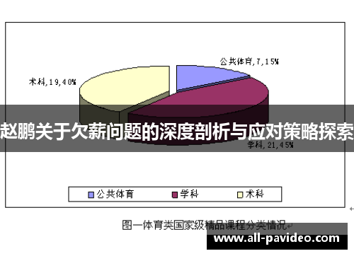 赵鹏关于欠薪问题的深度剖析与应对策略探索