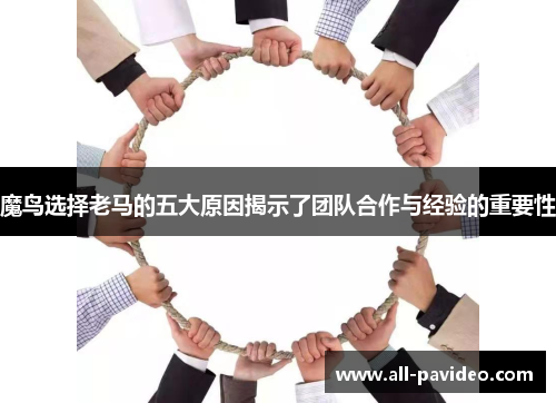 魔鸟选择老马的五大原因揭示了团队合作与经验的重要性