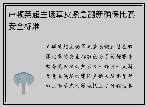 卢顿英超主场草皮紧急翻新确保比赛安全标准