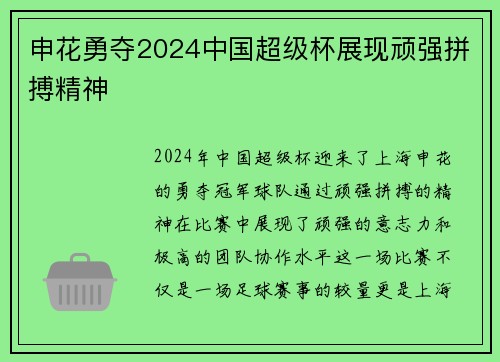 申花勇夺2024中国超级杯展现顽强拼搏精神